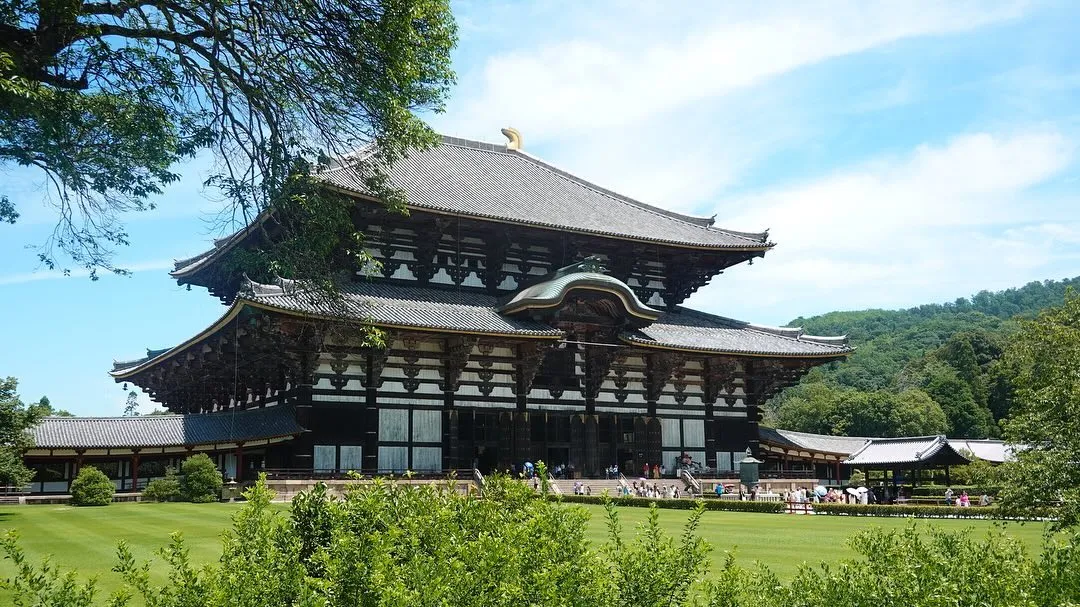 久しぶりの奈良公園での調査がありました！現地は外国人の方々で...