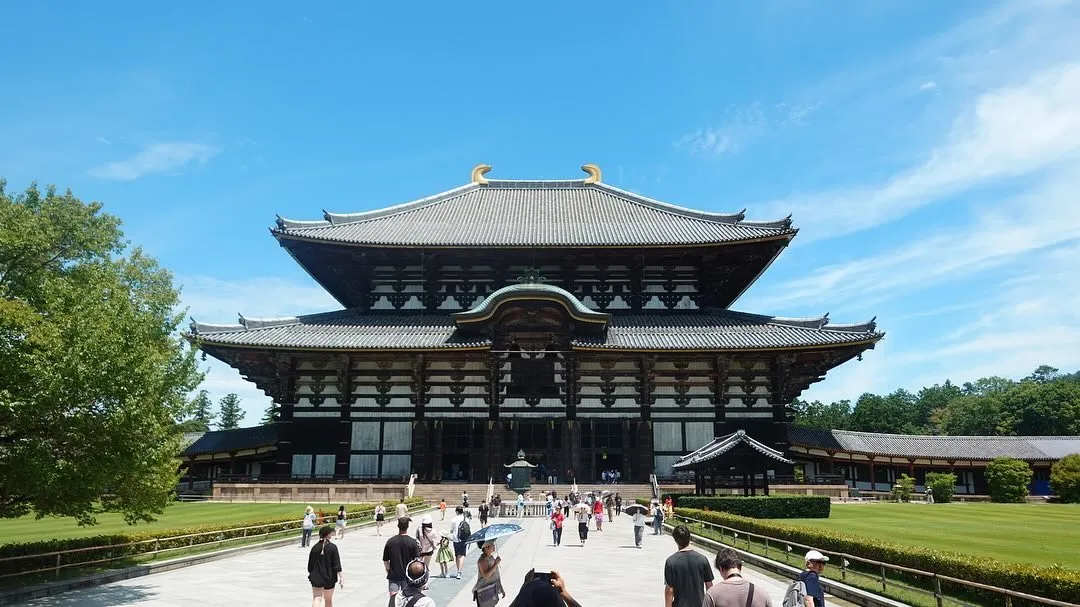 久しぶりの奈良公園での調査がありました！現地は外国人の方々で...