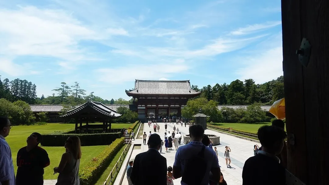 久しぶりの奈良公園での調査がありました！現地は外国人の方々で...